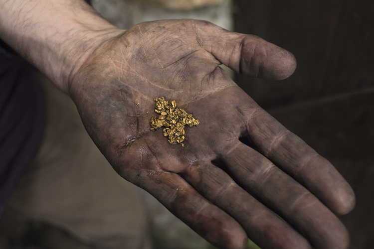 Paillettes d'or dans la main d'un chercheur de minéraux