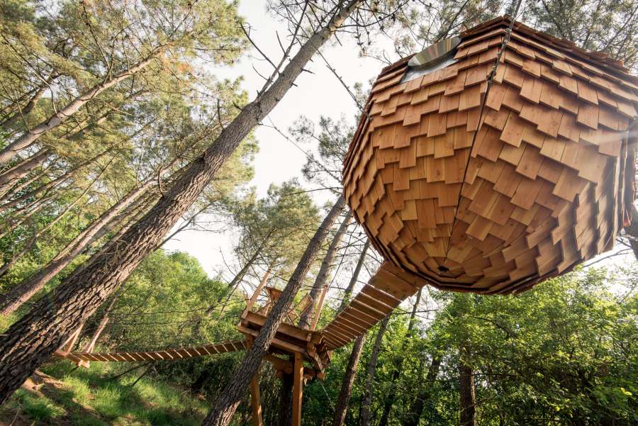 Cabane dans les arbres en forme de boule dans le Morbihan (Bretagne). Vue contreplongée de la cabane de Dihan Evasion
