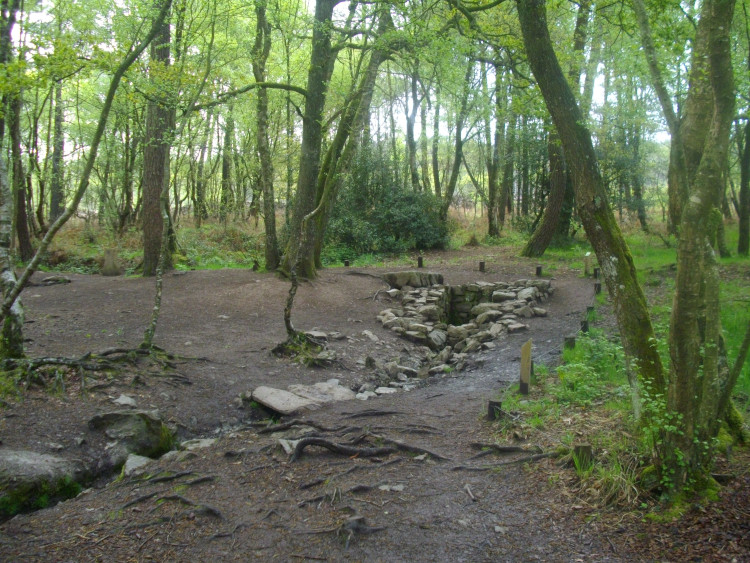 Fontaine de Brocéliande