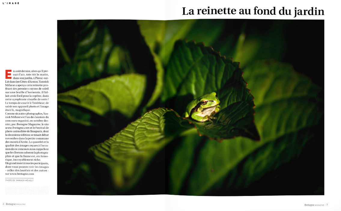 La reinette dans Bretagne Magazine