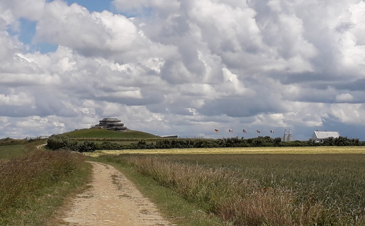 vue sur le bunker du musée 39-45 à camaret-sur-mer et de la végétation aux environs