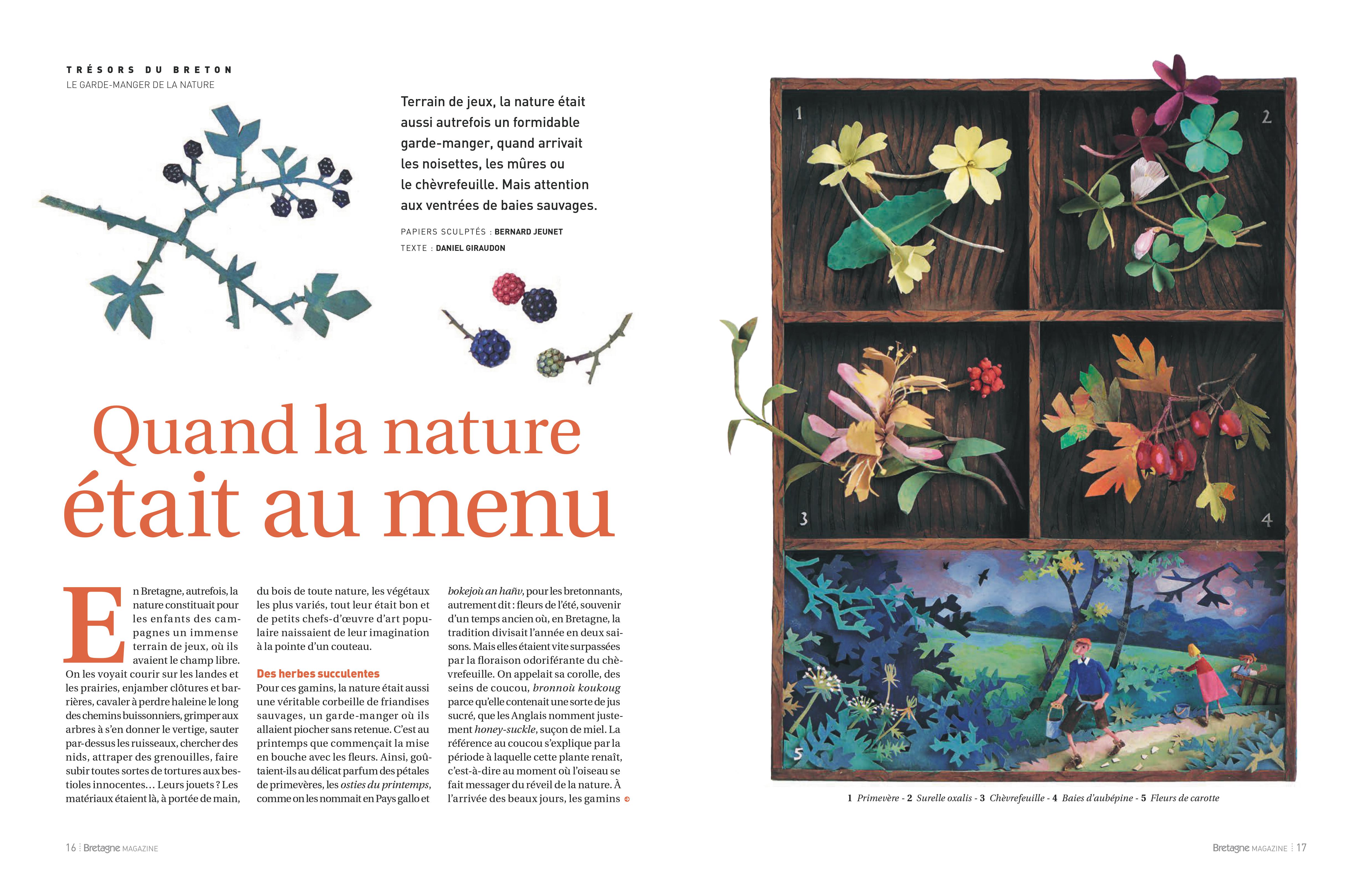 Aperçu de l'article Bretagne Magazine "Quand la nature était au menu" 