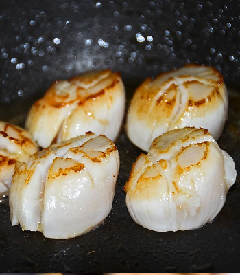 Recette de Saint-Jacques à la bretonne