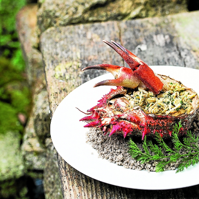 Salade d’araignée en coquille