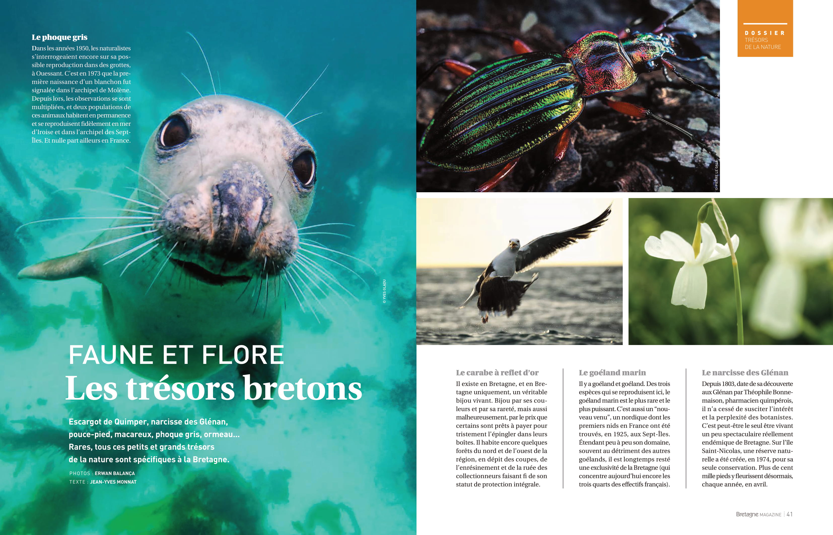 Article Les Trésors de la nature, de la faune et la flore dans Bretagne Magazine
