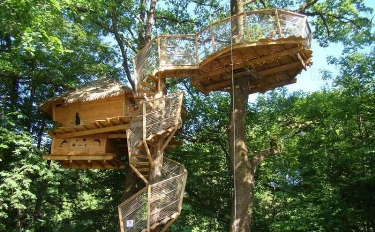 Cabane dans les arbres en Bretagne