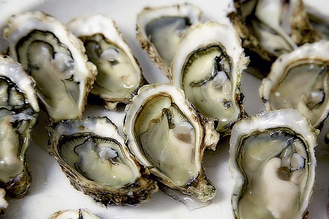 Huîtres de Cancale ouvertes et prêtes à être dégustée
