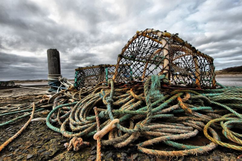 Casiers utilisés pour la pêche au homard en Bretagne