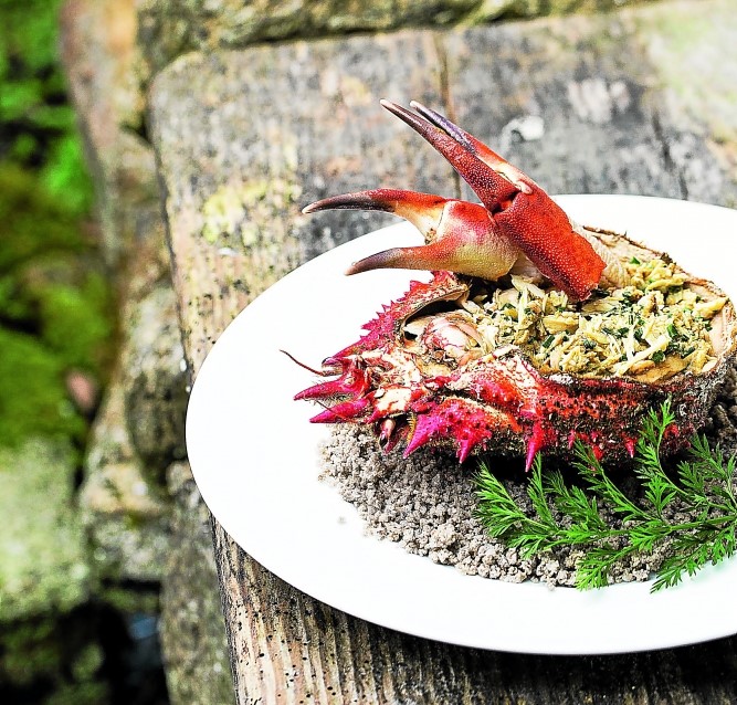 Salade d'araignée en coquille