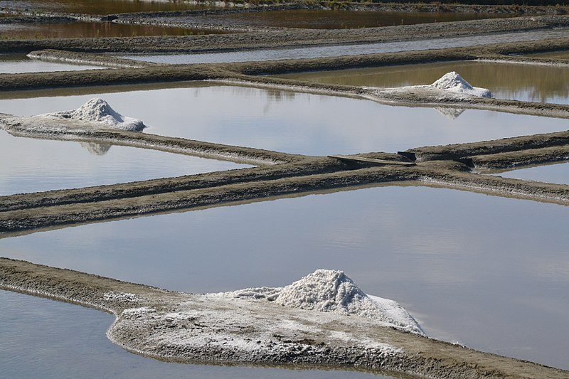 Marais salant de Guérande récoltant le sel permettant de réaliser le beurre salé breton