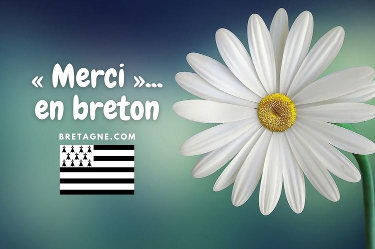 La traduction français breton de merci