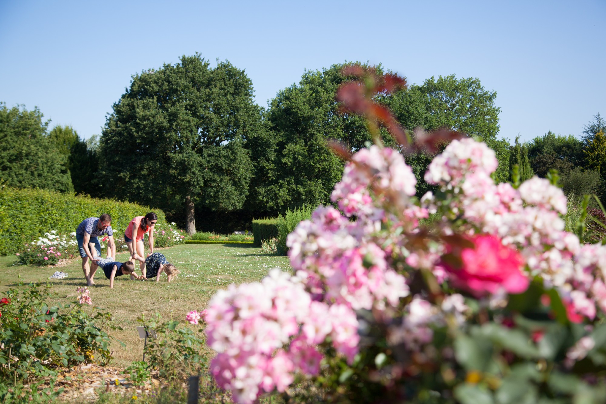 Jardin De Broceliande