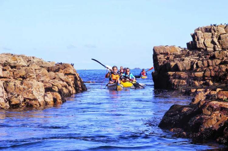 Sous le kayak, les algues