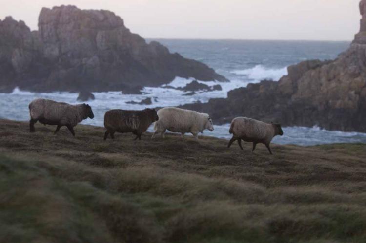Ouessant Ouessant