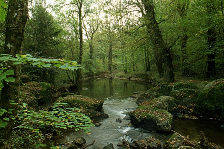 Guer-Coëtquidan Guer-Coëtquidan