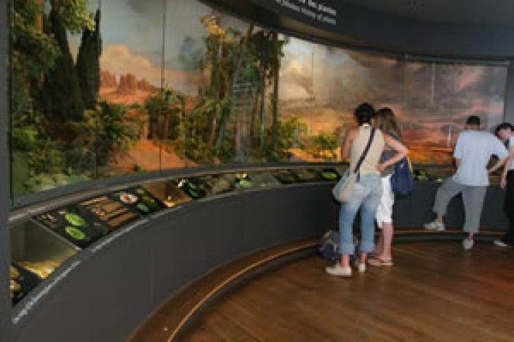 Vegetarium Vegetarium