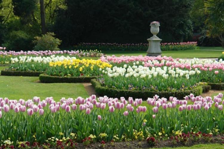 jardin du Thabor à Rennes