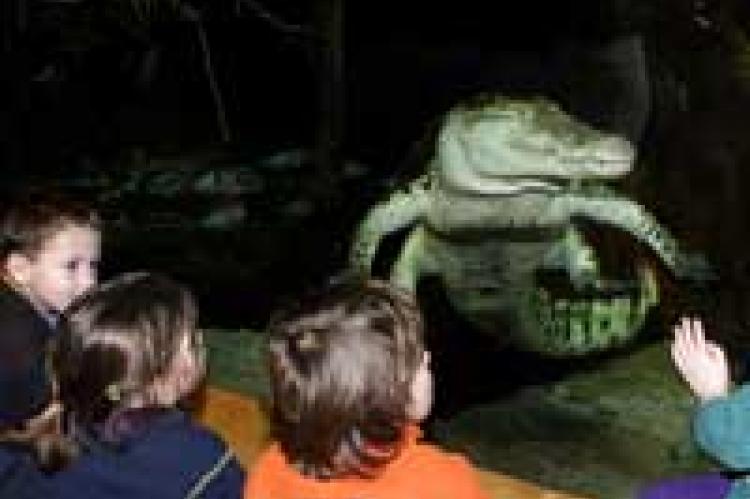Aquarium et Jardins aux Papillons de Vannes Aquarium et Jardins aux Papillons de Vannes
