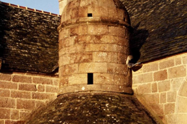 Randonnée Trégastel Randonnée Trégastel