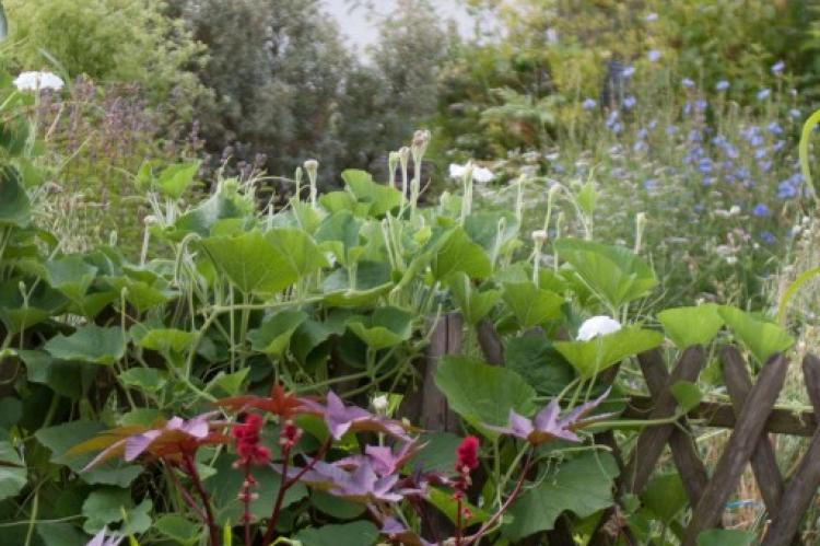 Jardin botanique Yves Rocher