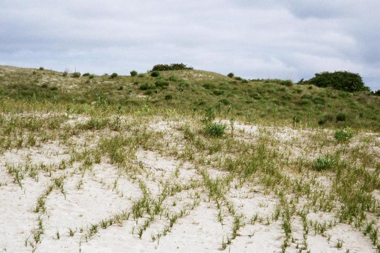 Randonnée : Digues et polders de Lancieux et Ploubalay