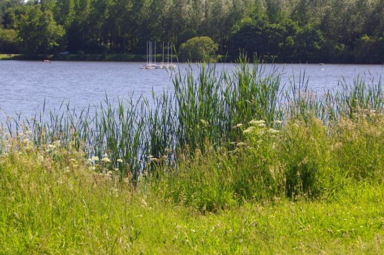 Circuit de l'étang de la forêt