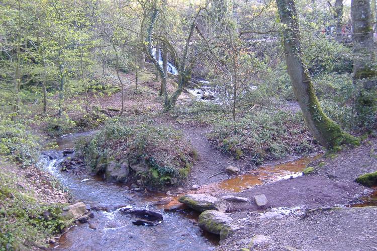 Brocéliande Brocéliande