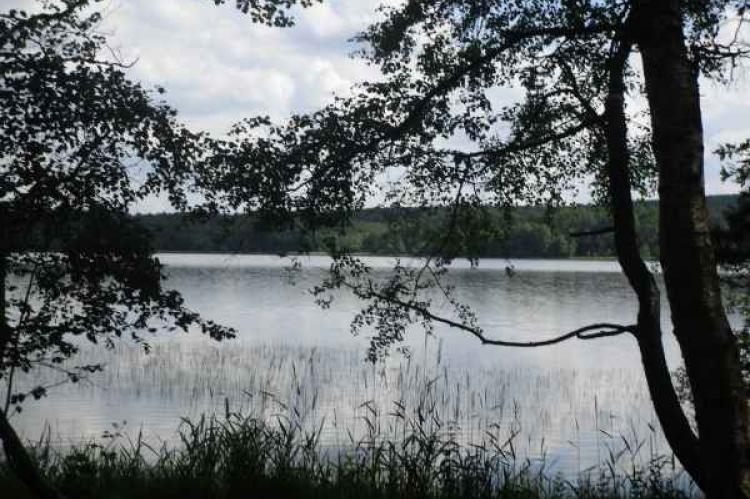 Brocéliande