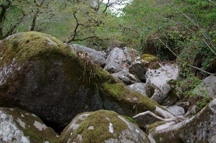 Randonnée à Kerné-Uhel