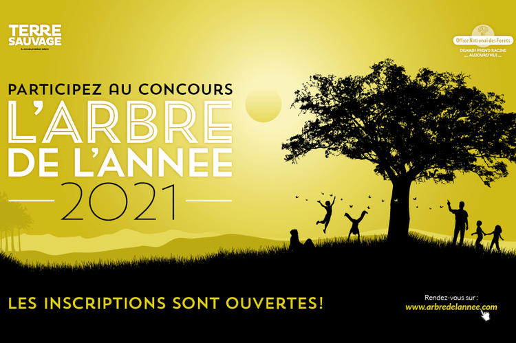 Participez à la 10ème édition du concours ! Concours Arbre de l'Année 2021