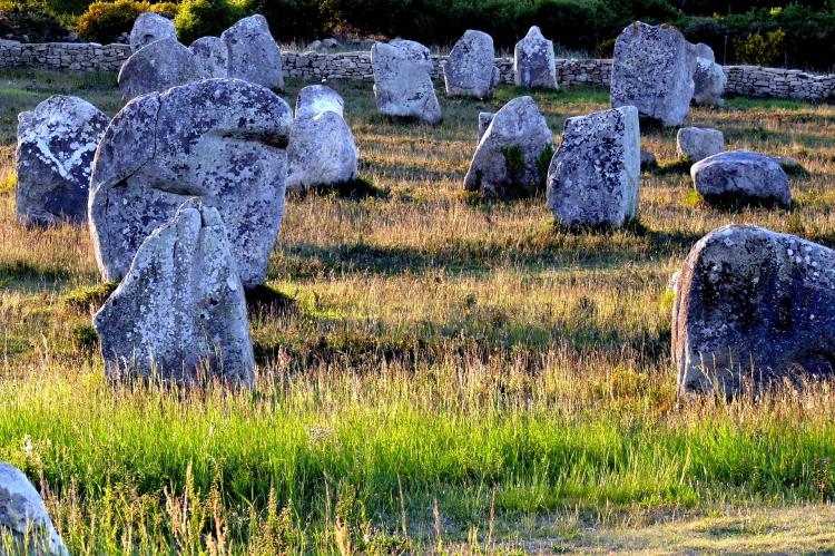Les alignements de Carnac Que faire en Morbihan avec les enfants ?