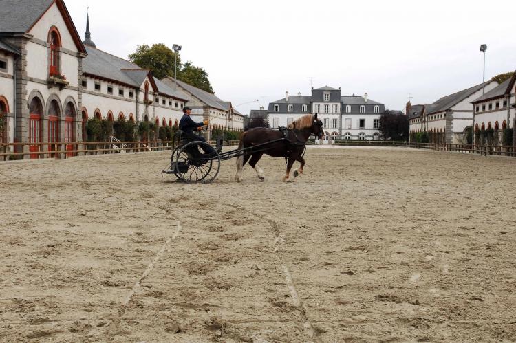 Haras National de Lamballe Haras National de Lamballe