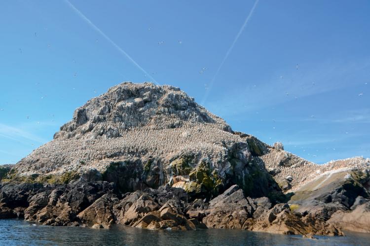 Archipel des Sept Iles Archipel des Sept Iles