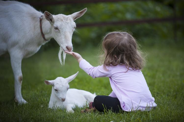 10 activités enfants en Ille-et-Vilaine