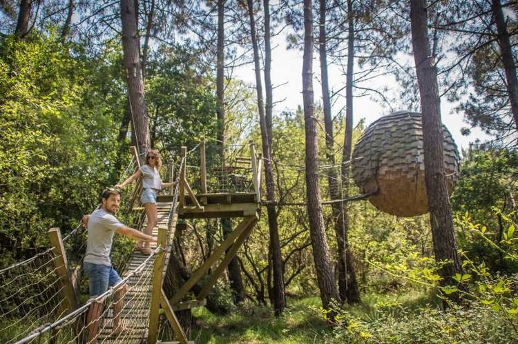 Cabane dans les arbres en Bretagne en forme de boule avec pont de singes dans une forêt