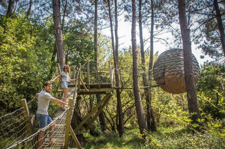 Top 8 des cabanes dans les arbres en Bretagne Cabane dans les arbres en Bretagne en forme de boule avec pont de singes dans une forêt