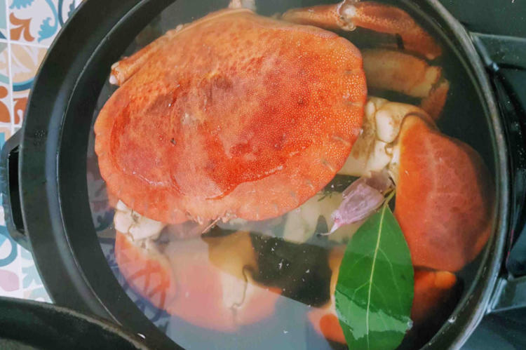 La cuisson du tourteau au bain-marie le tourteau est à en train de cuir dans un bain-marie