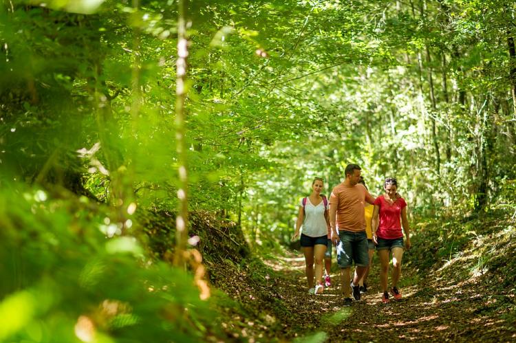 5 commandements pour se balader en période de chasse 5 commandements pour se balader en période de chasse