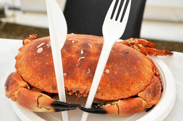 La cuisson du tourteau au bain-marie le tourteau est à en train de cuir dans un bain-marie