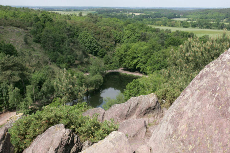 forêt de paimpont