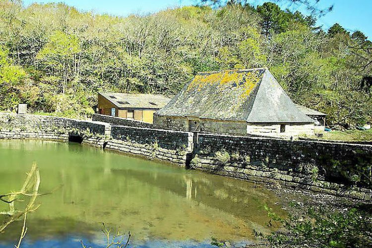 Névez (29). Circuit de découverte EcoBalade , moulin-mer sur le site du Hénan