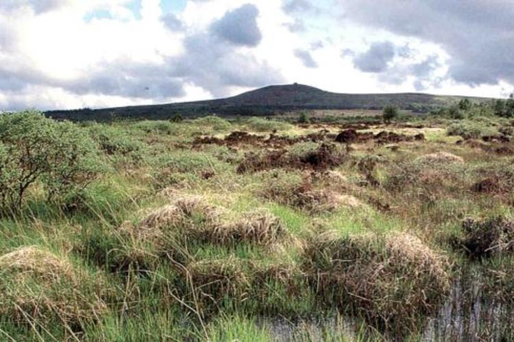 Vue sur les Monts d'Arrée Vue sur les Monts d'Arrée, un paysage désert et rocheux. La lande à perte de vue