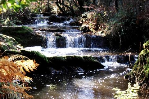 La Vallée du Serein