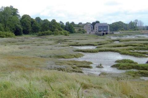 Les Berges du Frémur