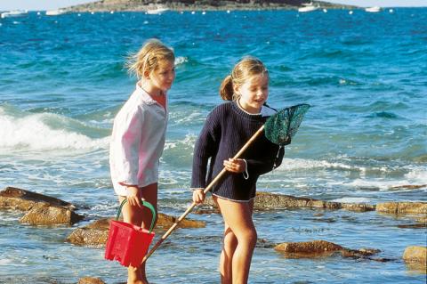 Les règles d'or de la pêche à pied