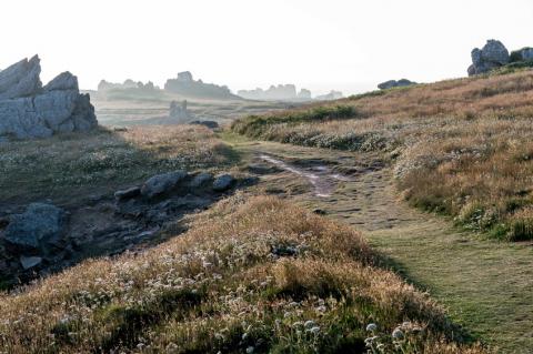 Ile des Landes