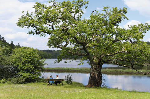 Deux personnes sur un banc au pied d'un arbre au bord de la Laïta