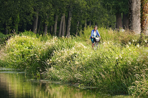 Cycliste sur les bords du canal de Nantes à Brest