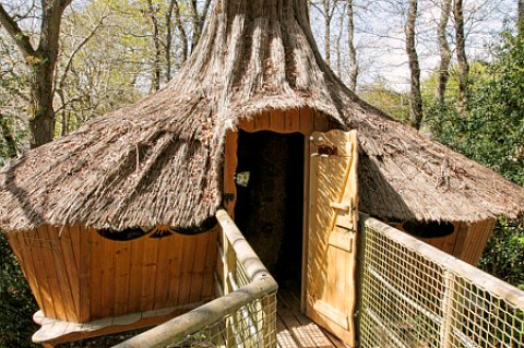 Cabane dans les arbres en Bretagne en forme de boule avec pont de singes dans une forêt