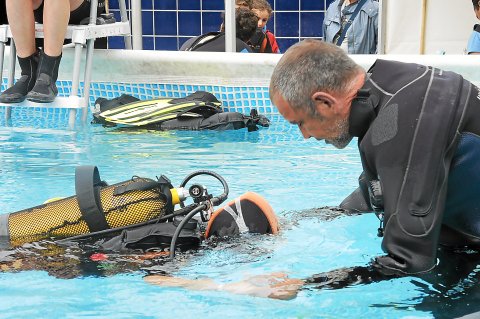 Plongeur en plongée sous-marine dans le Morbihan en Bretagne